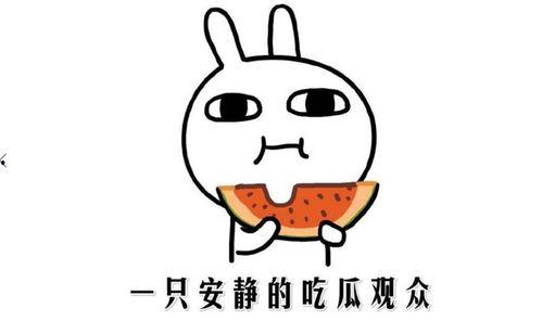 吃瓜群众 啥意思,网络时代的围观者与传播者