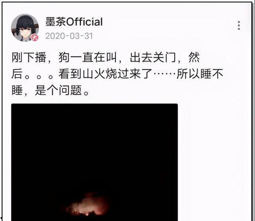 娱乐圈每个月吃瓜,揭秘热点事件，笑料与泪点并存！