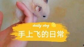 娱乐圈吃瓜背景板是谁,揭秘“吃瓜背景板”背后的故事