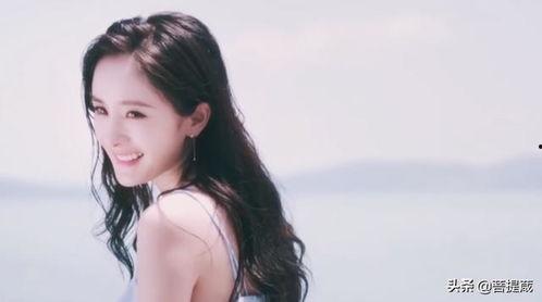 娱乐圈算命吃瓜小说,揭秘明星命运，揭秘幕后算命吃瓜风云